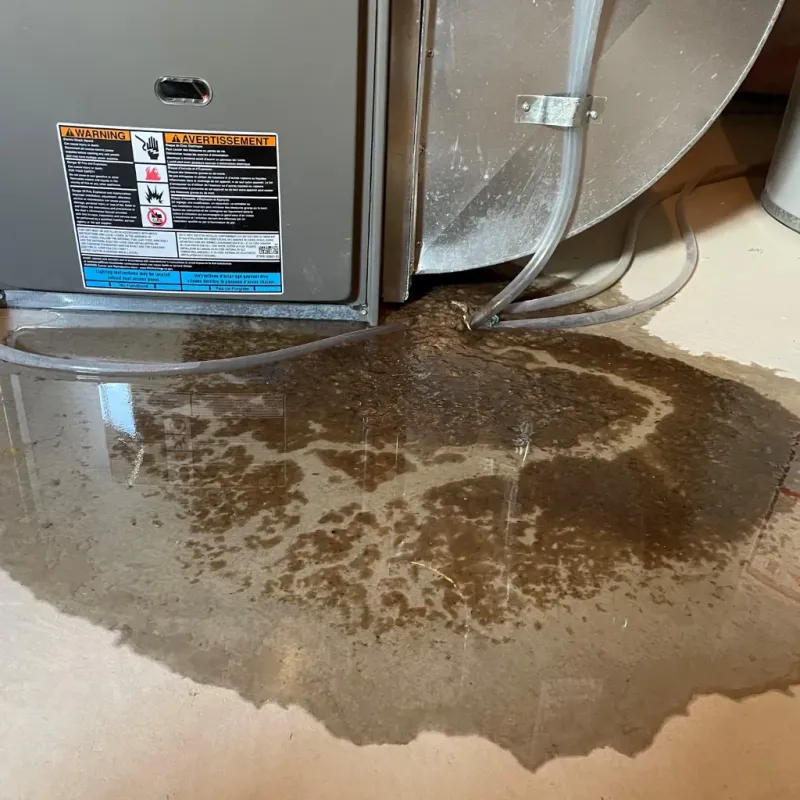 Appliance Leak Cleanup in Fairmont, NC